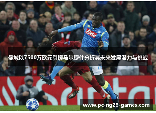曼城以7500万欧元引援马尔穆什分析其未来发展潜力与挑战 曼城以7500万欧元引援马尔穆什分析其未来发展潜力与挑战
