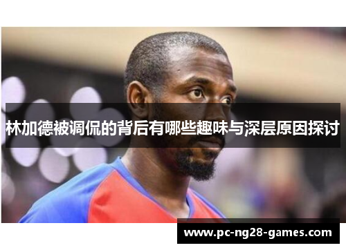 林加德被调侃的背后有哪些趣味与深层原因探讨 林加德被调侃的背后有哪些趣味与深层原因探讨