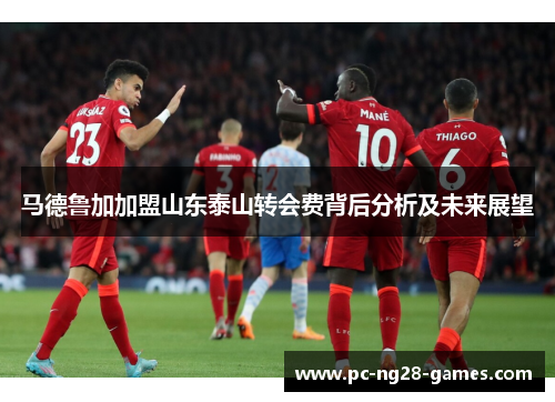 马德鲁加加盟山东泰山转会费背后分析及未来展望